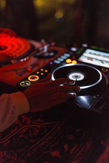 person holding black vinyl record