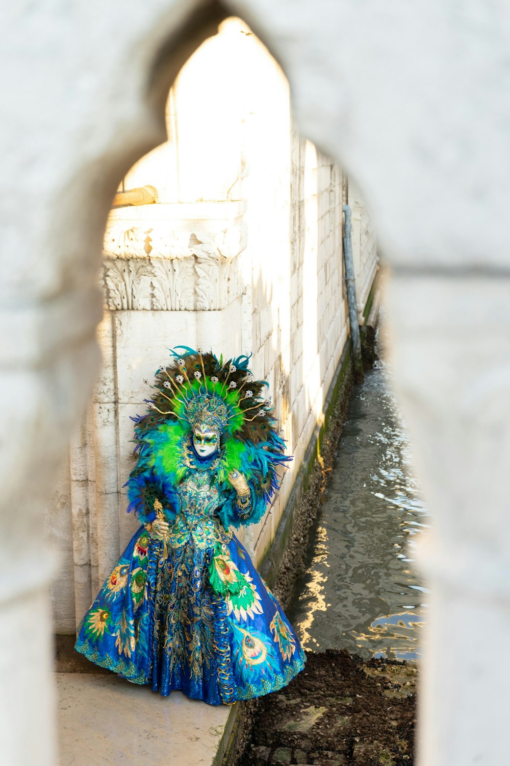 blue and green peacock on gray concrete stairs