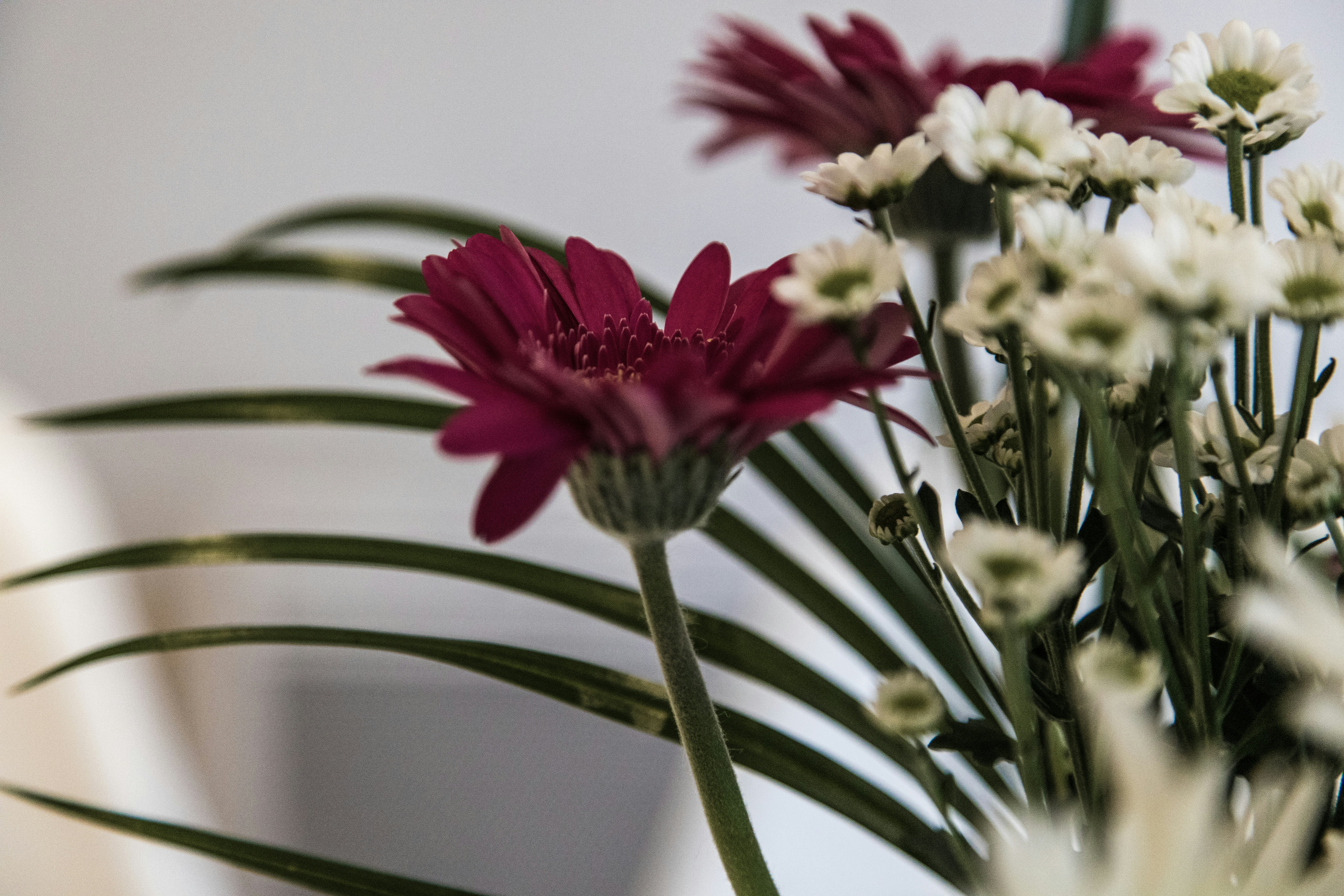 Photo by nicolasjleclercq