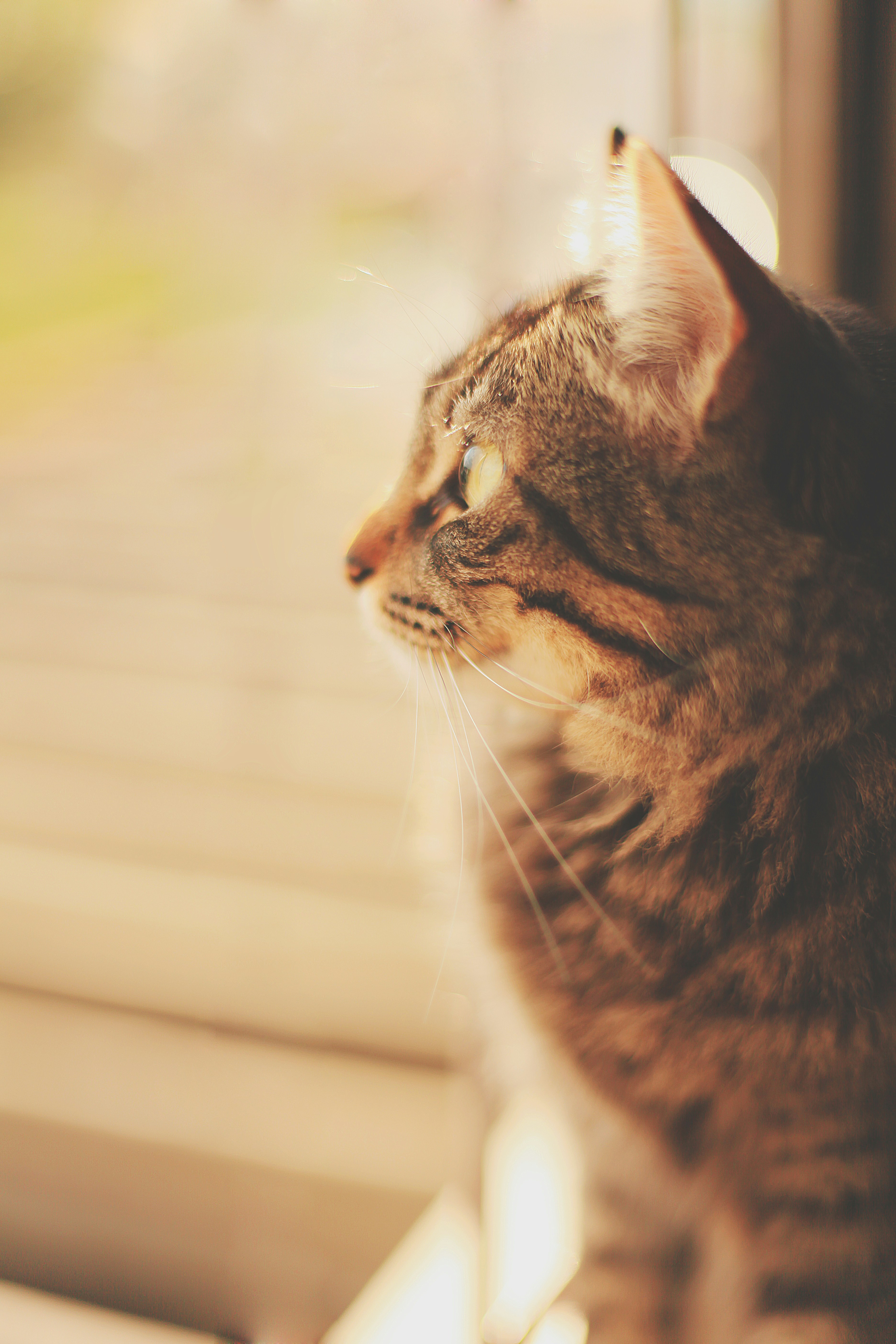 Photo by silvana_carlos