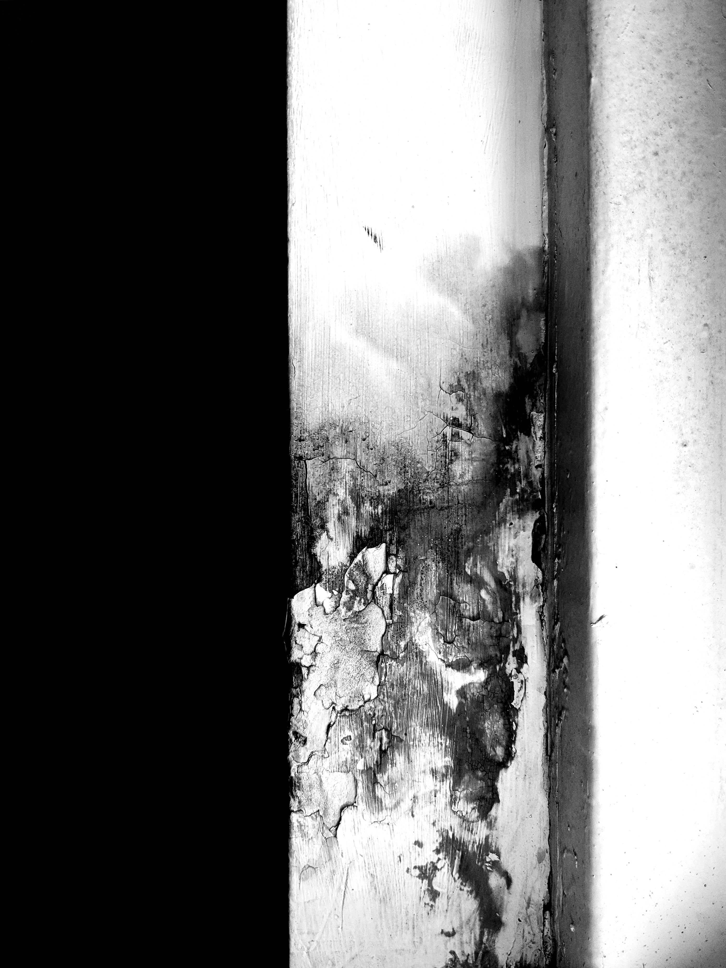 Photo by rohanpurixo