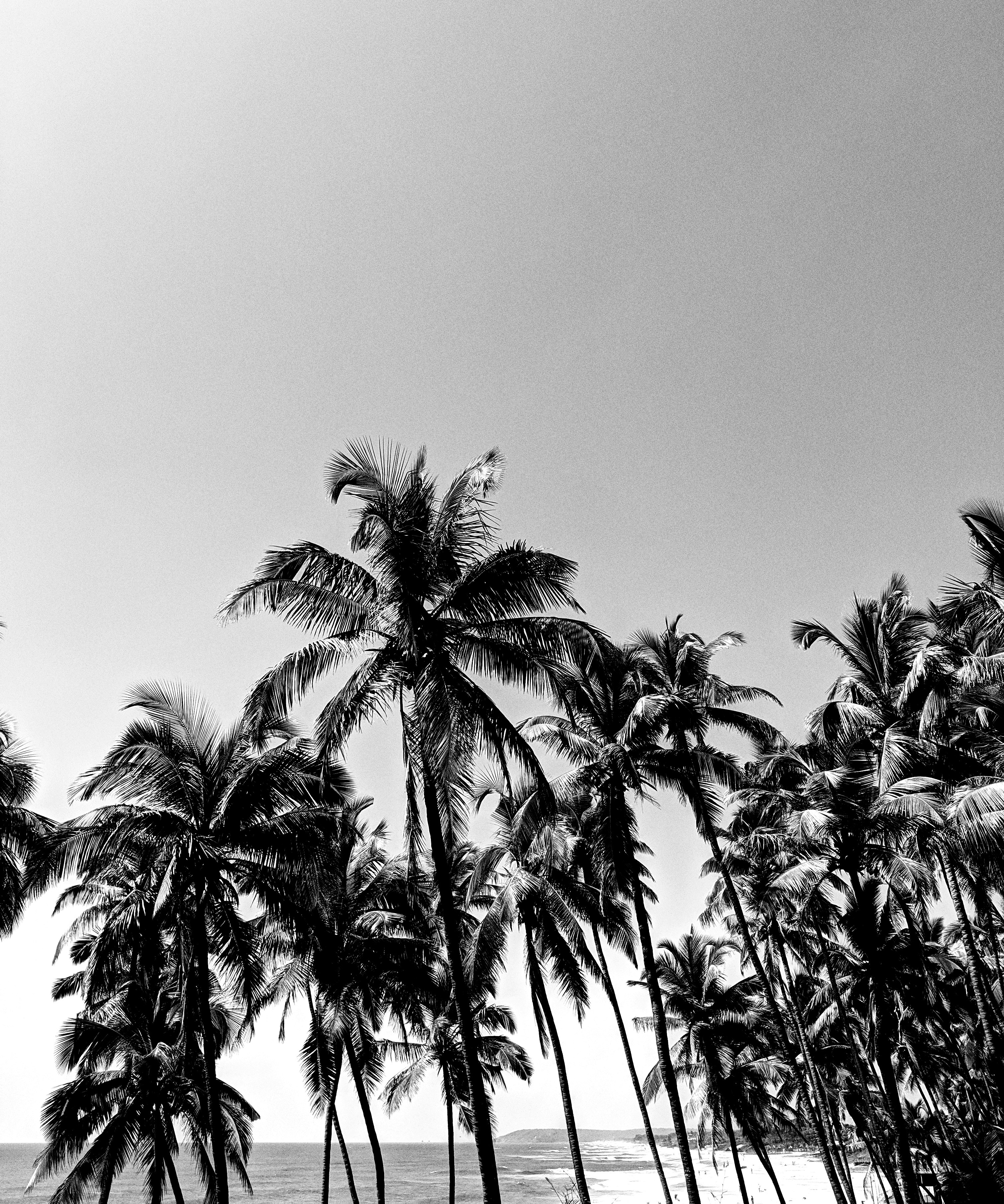 Photo by rohanpurixo