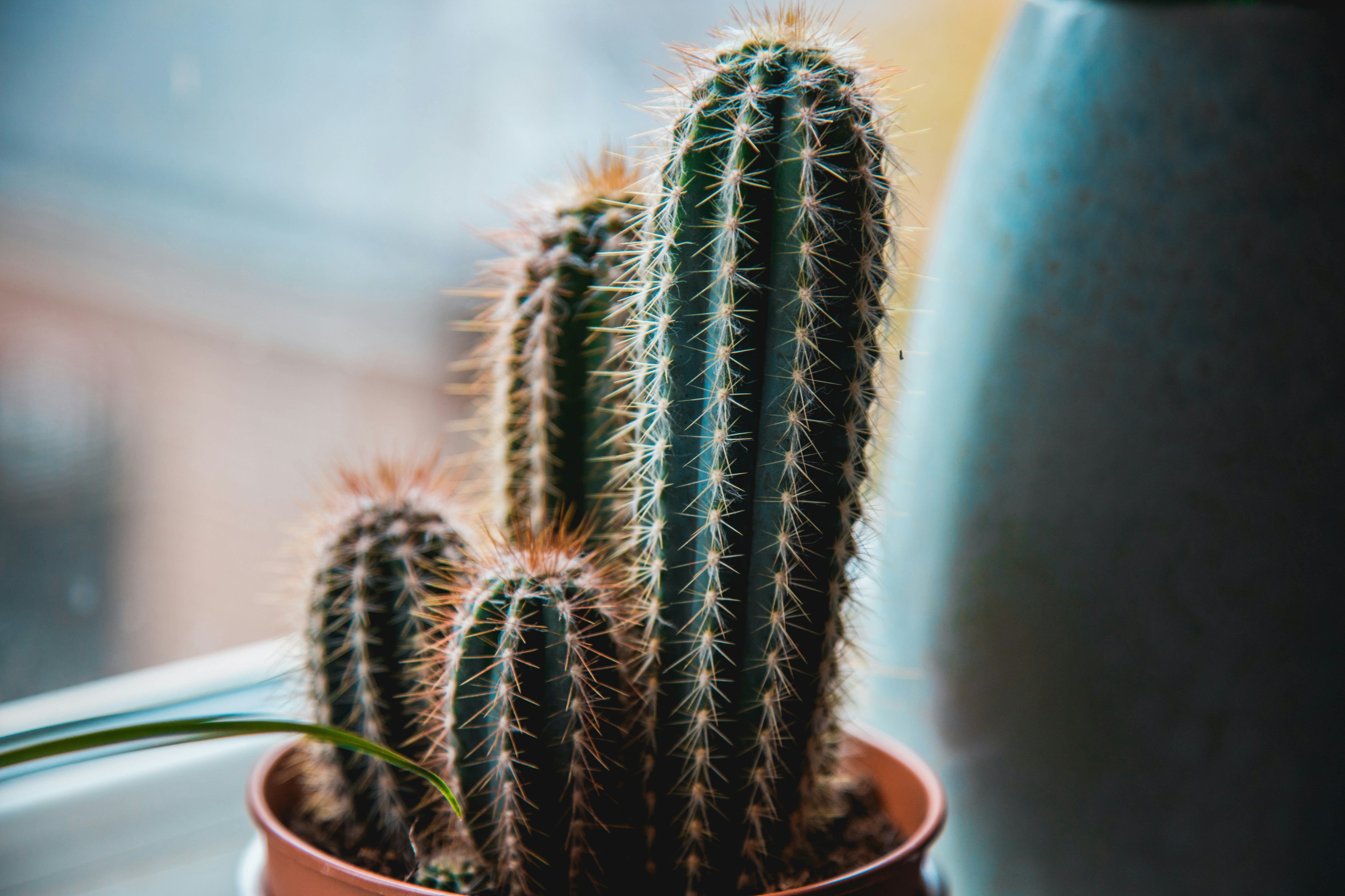 Photo by nicolasjleclercq