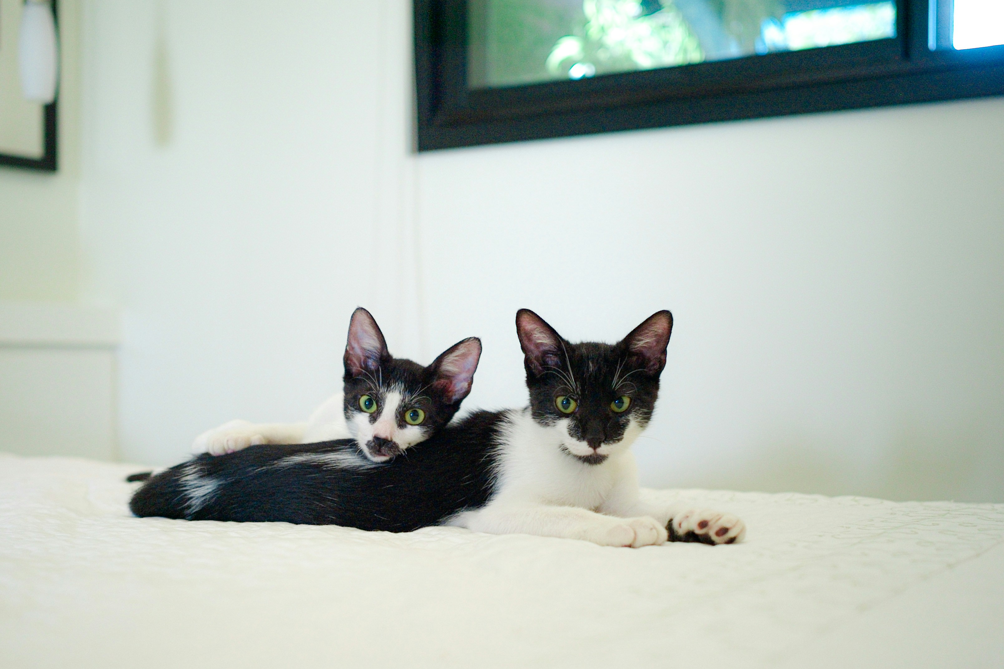 Photo by marcomartinsfilho