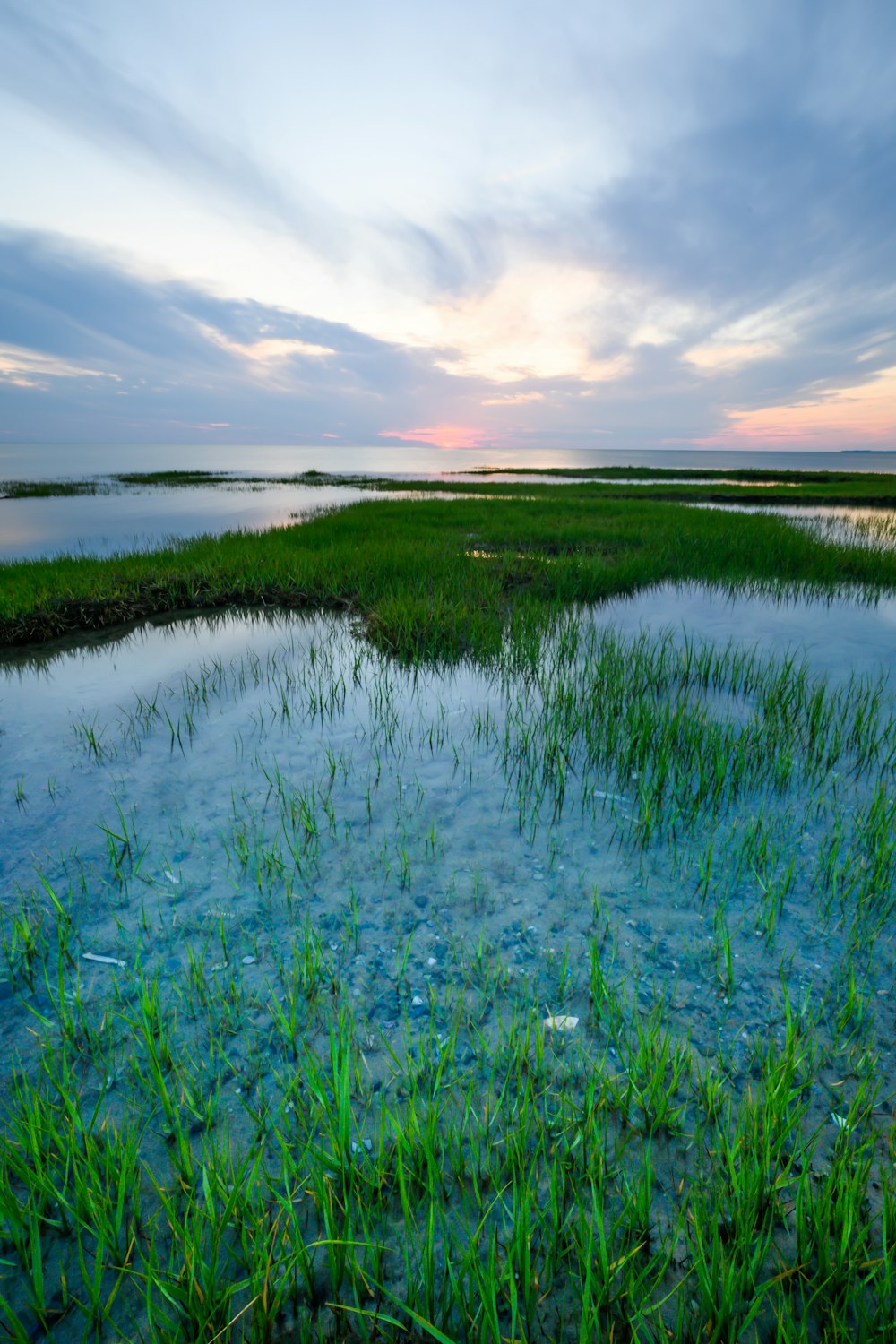 green grass near body of water under white clouds and blue sky during daytime