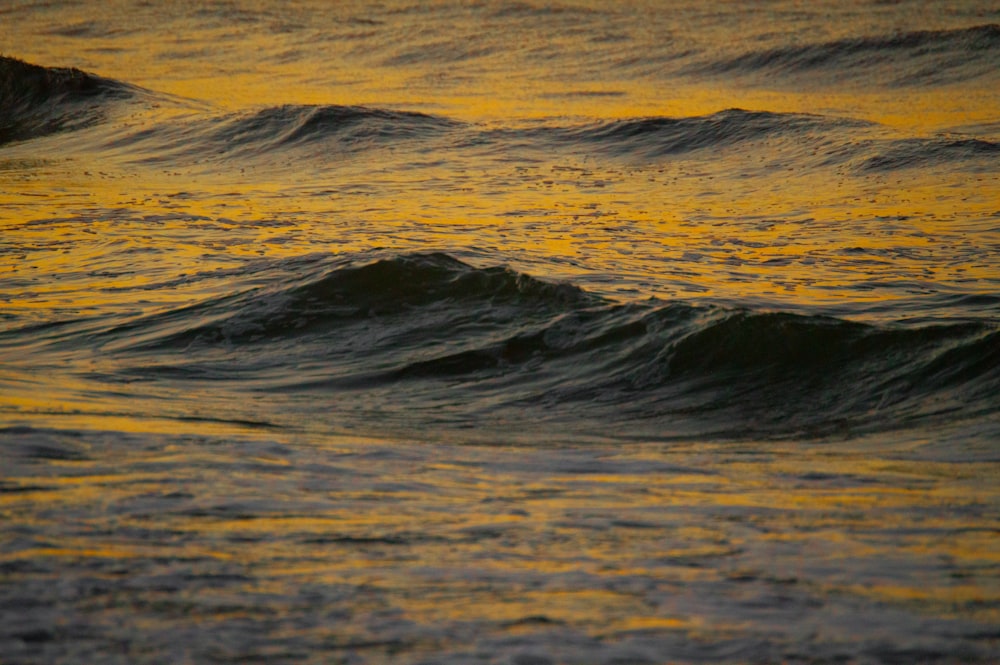 close up photo of body of water