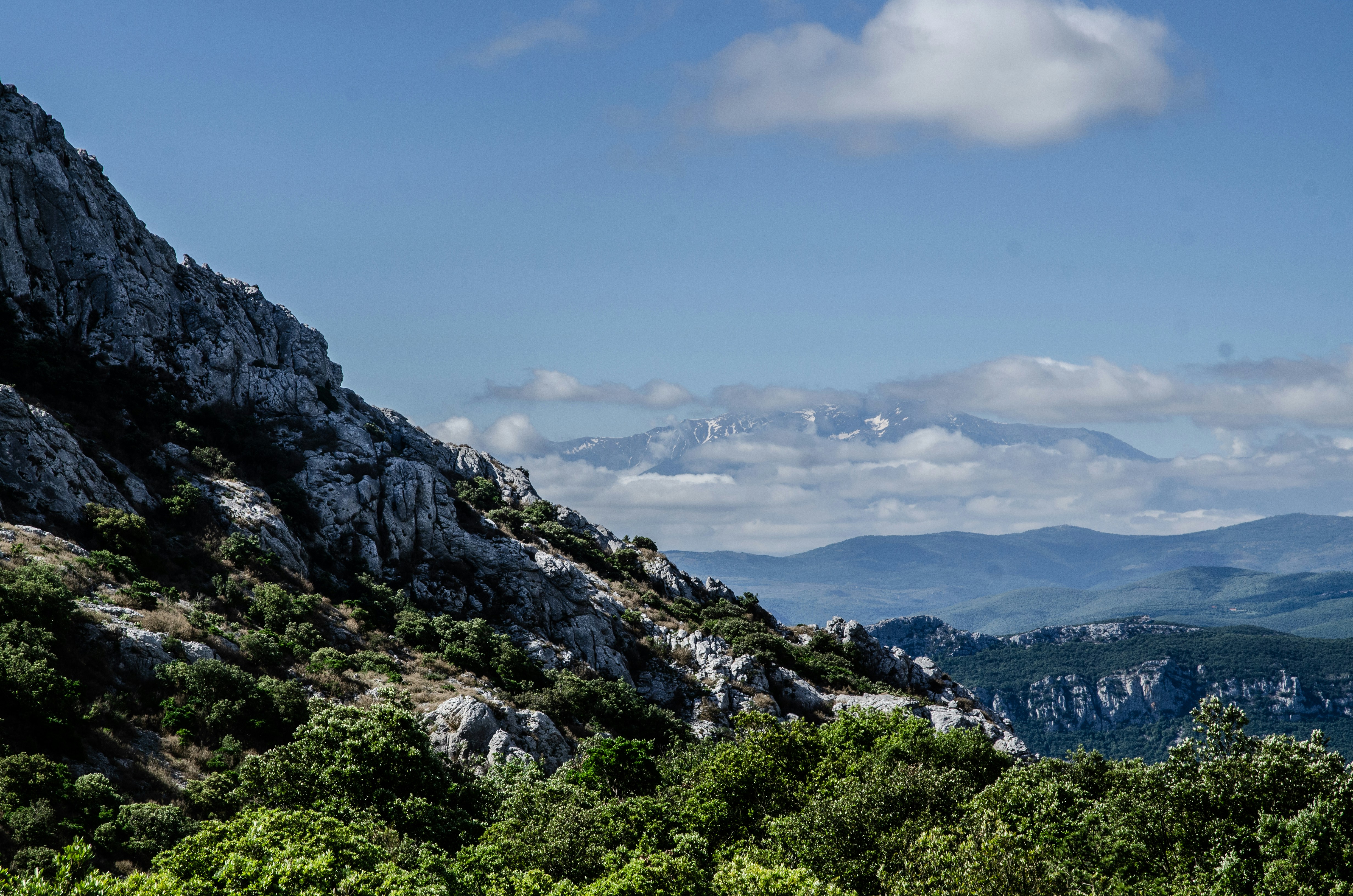 Photo by guillemcotcha