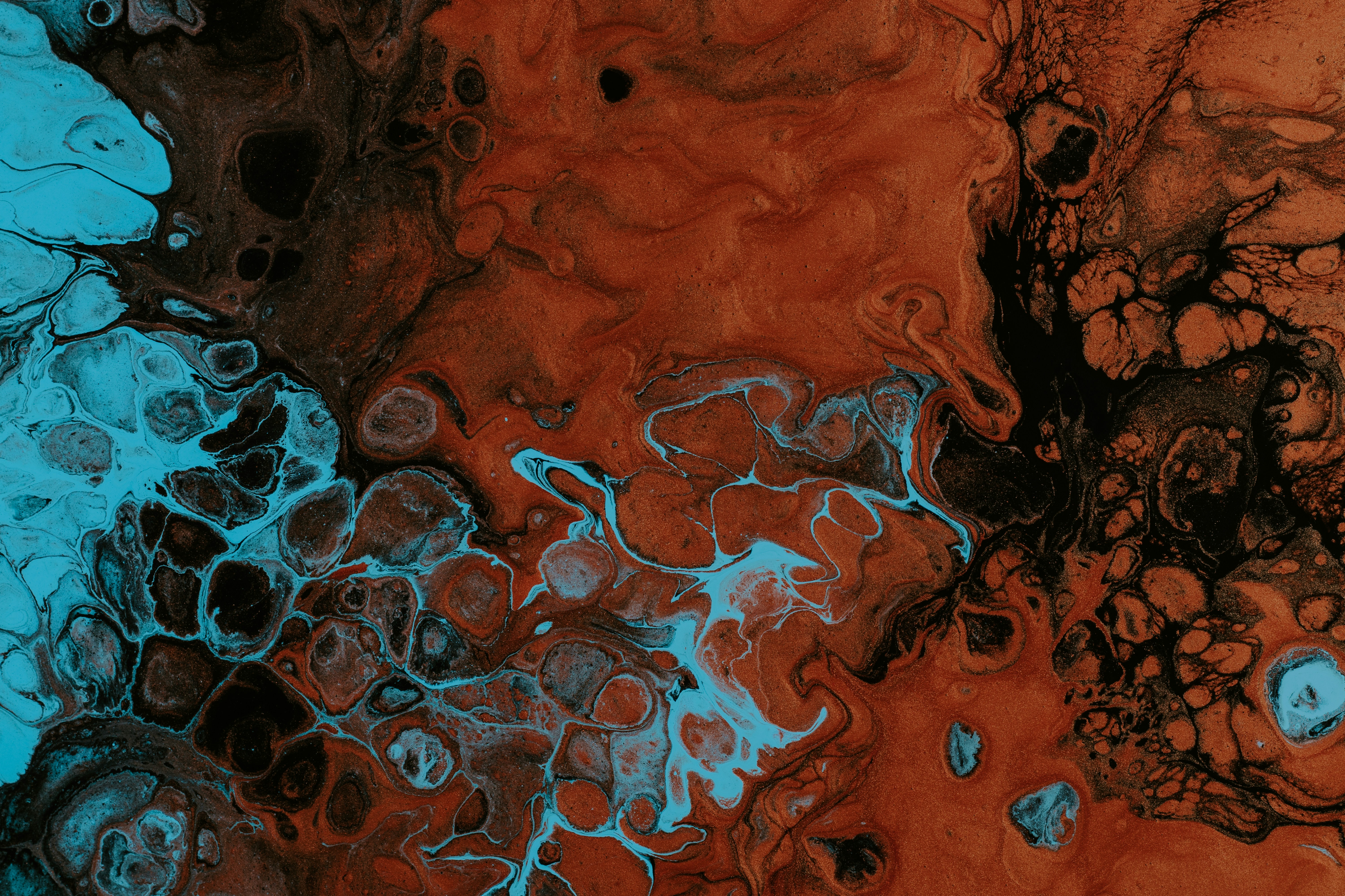 Photo by pawel_czerwinski