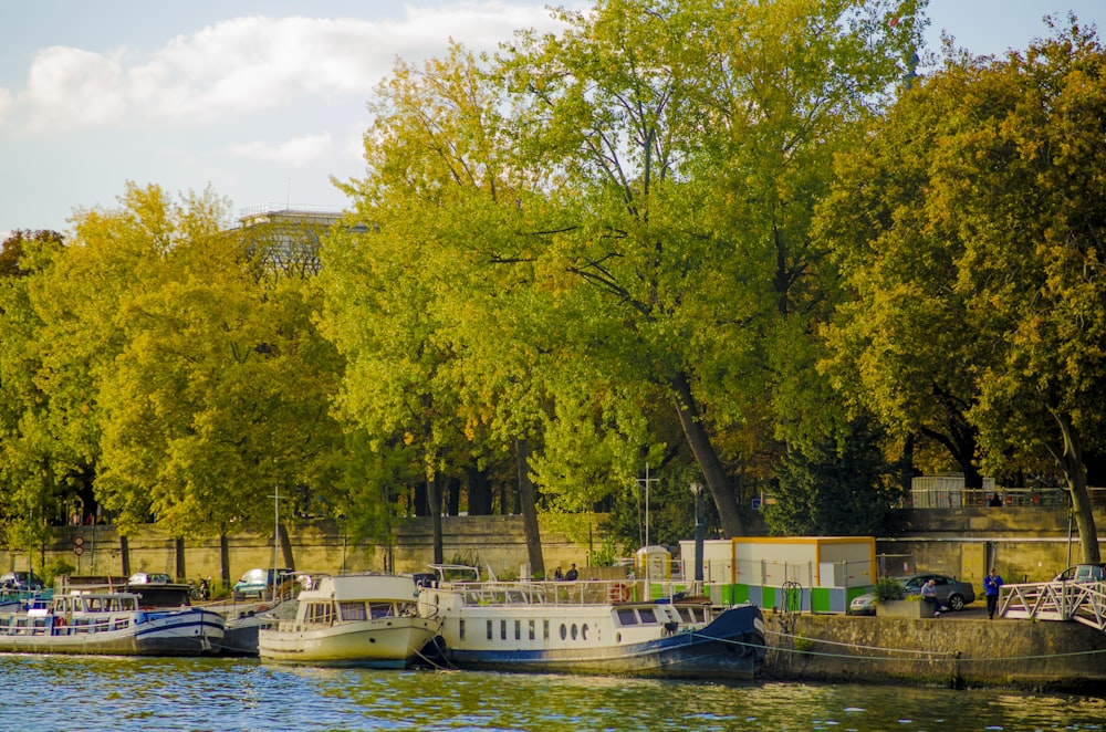 white and blue boat on body of water near green trees during daytime