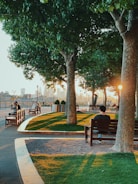 A peaceful prayer circle gathered at sunset in a park.