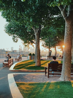 A peaceful community garden with sustainable wooden benches and solar-powered lights at sunset.