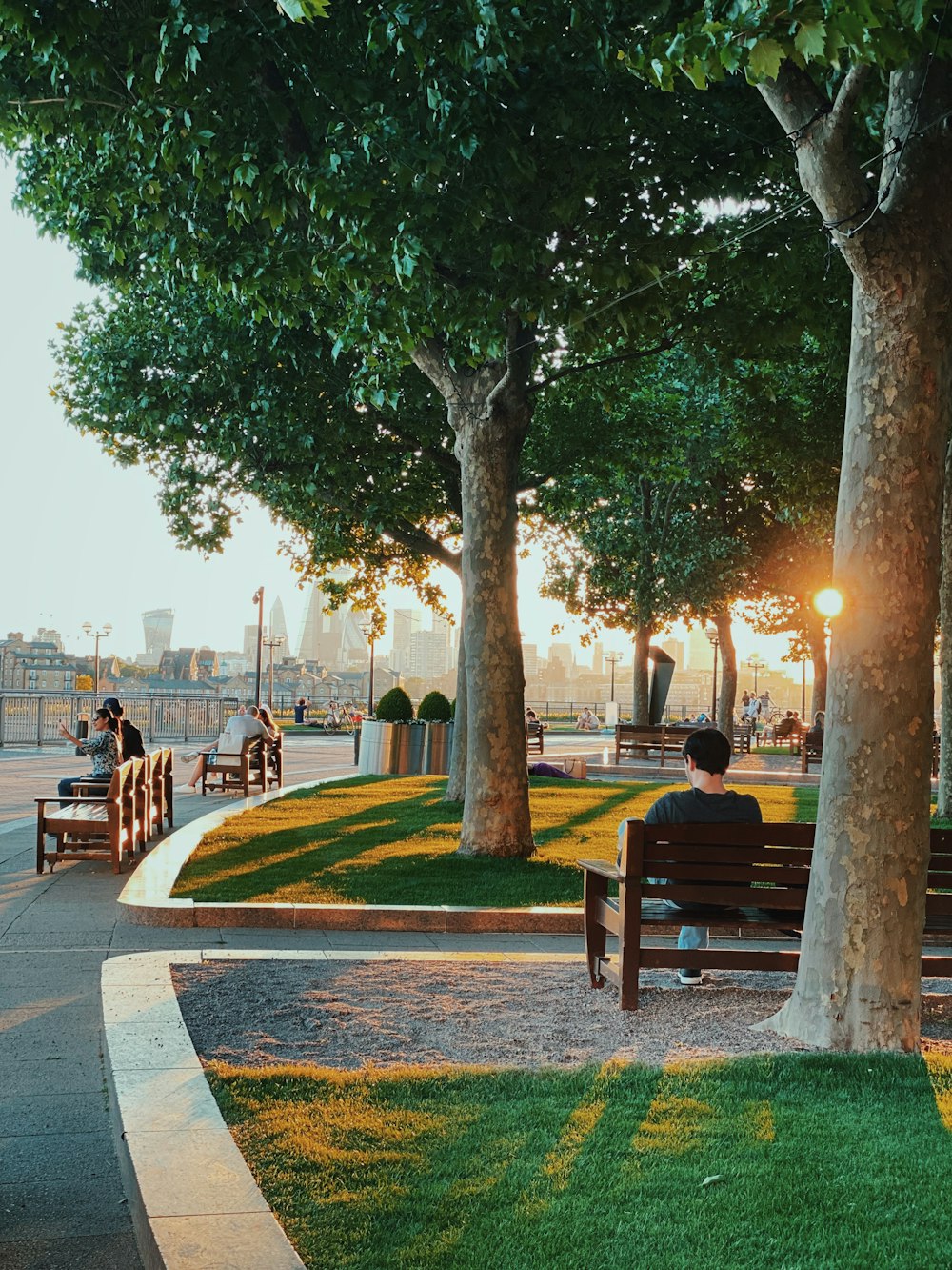 people sitting on bench near trees during daytime