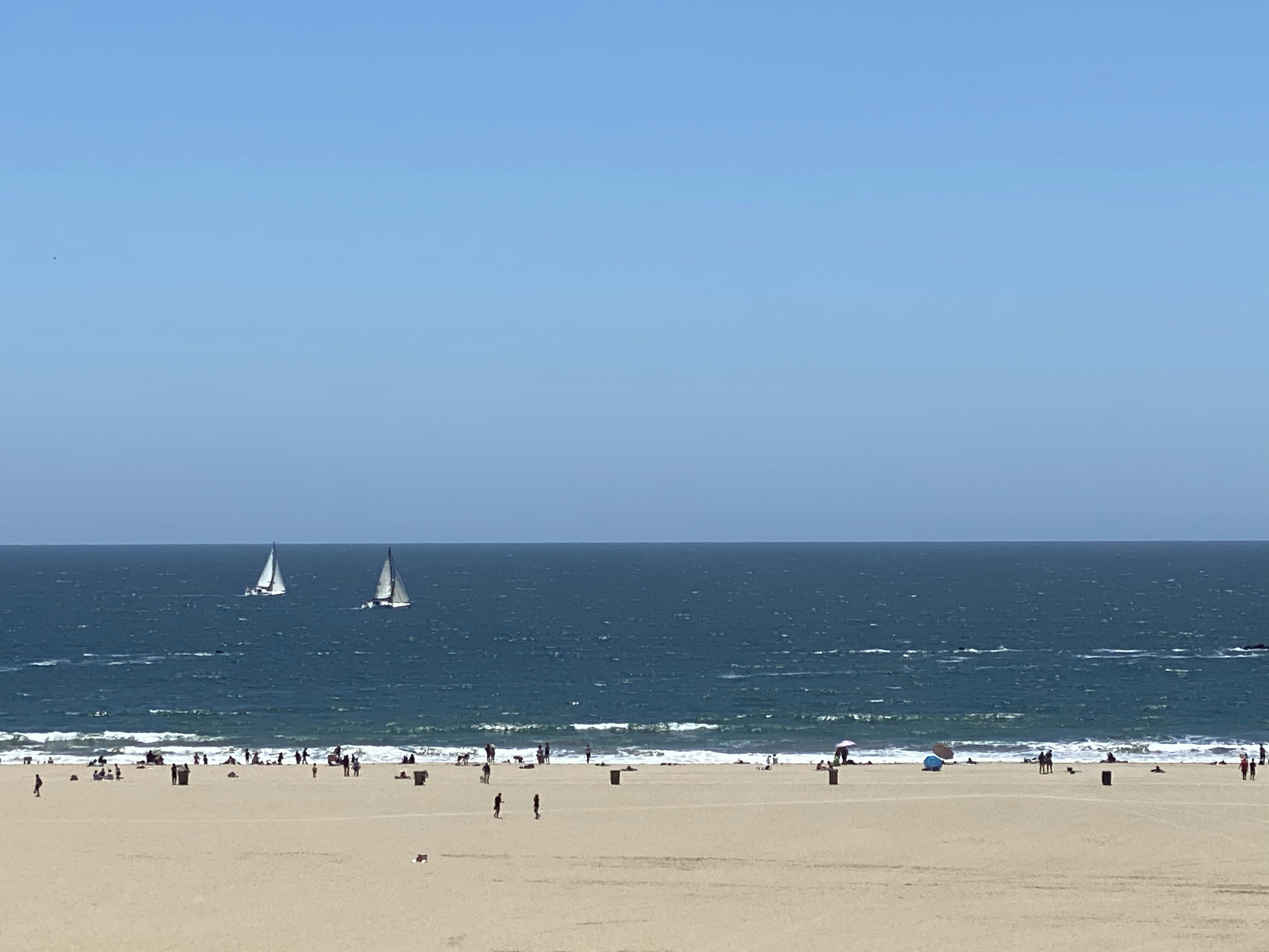 people on beach during daytime