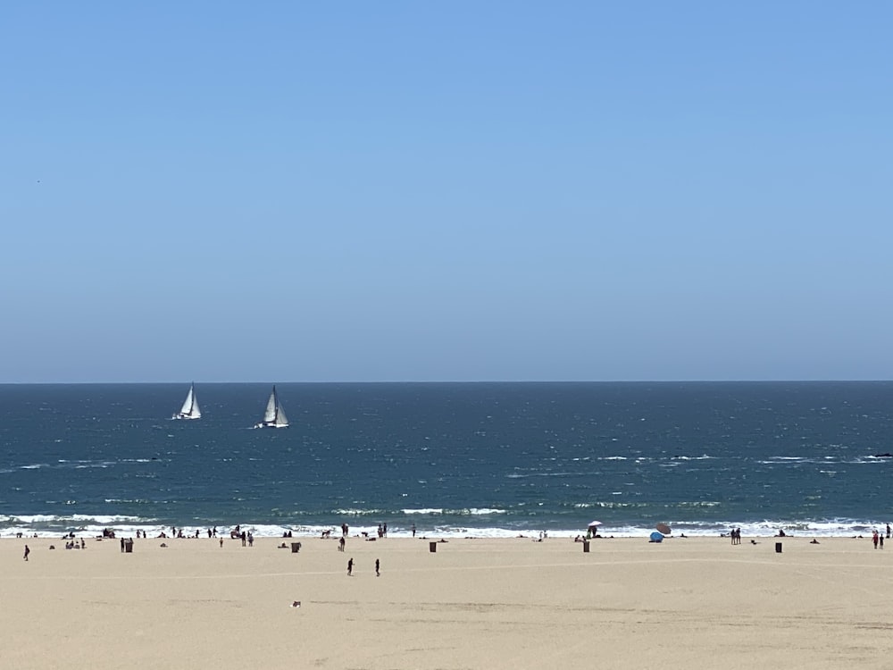 people on beach during daytime