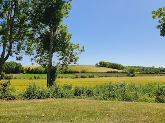 green grass field with trees during daytime in Chavenay France