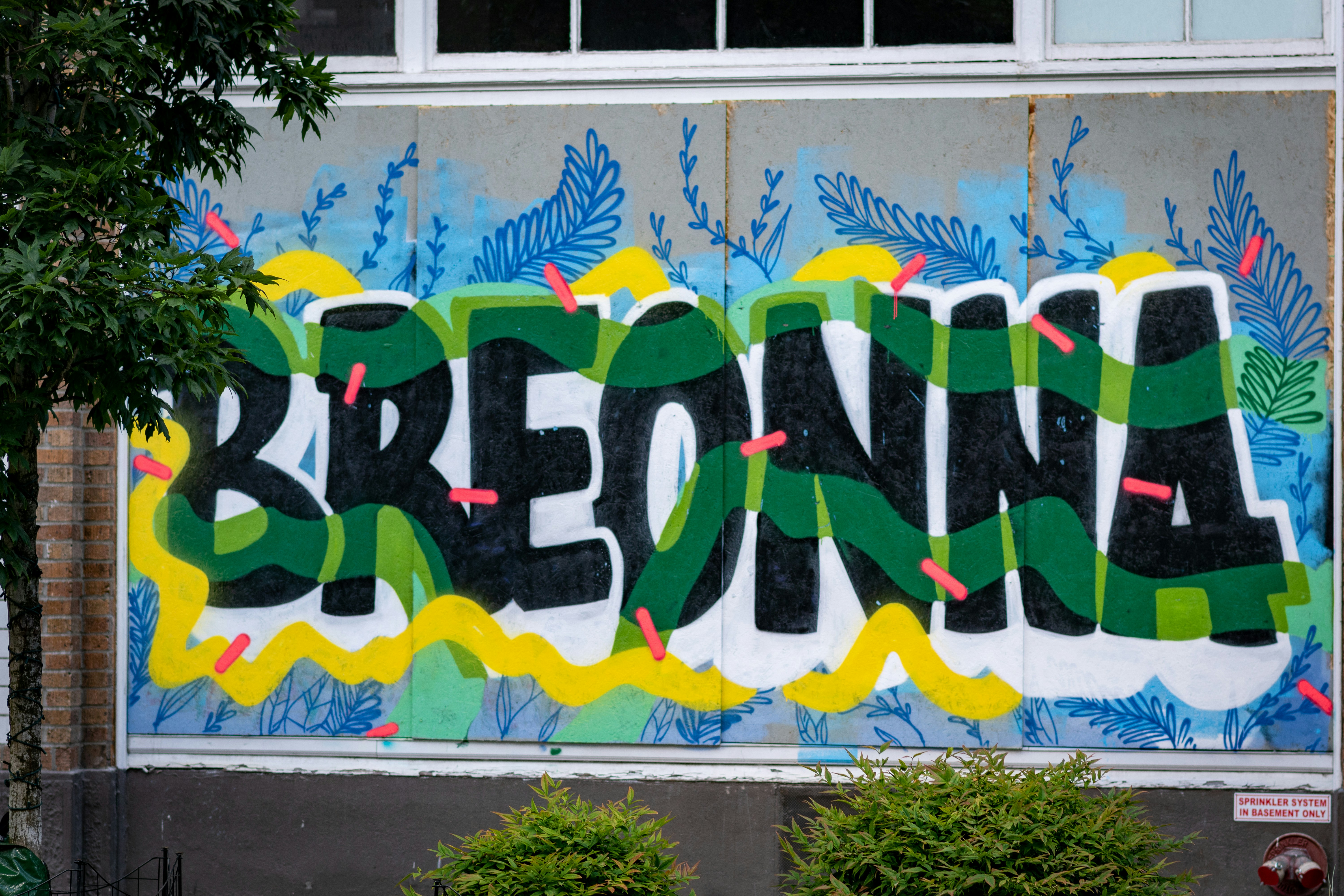 Grafiti hijau, putih dan hitam di dinding