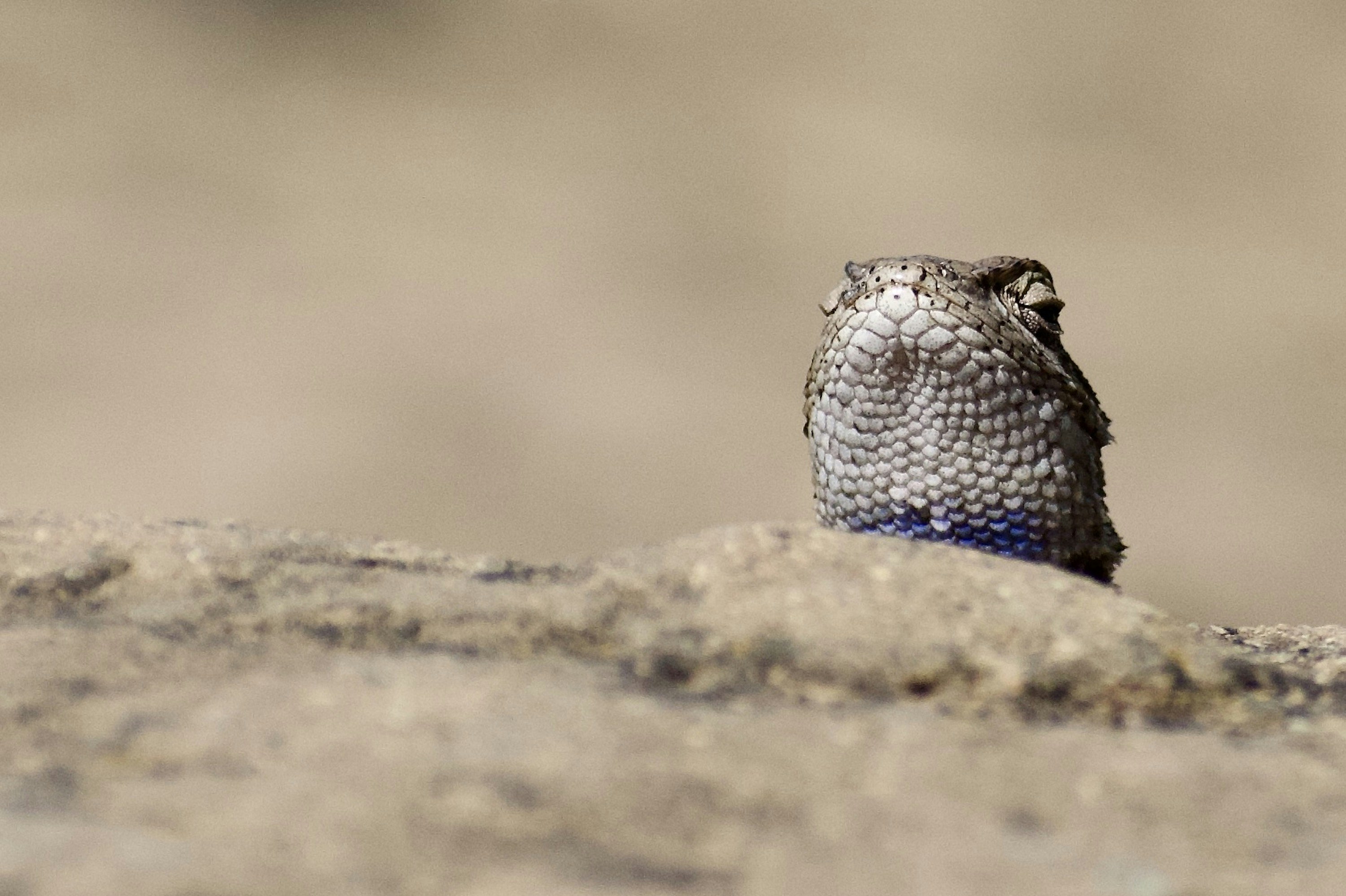 Photo by elisastonephotography