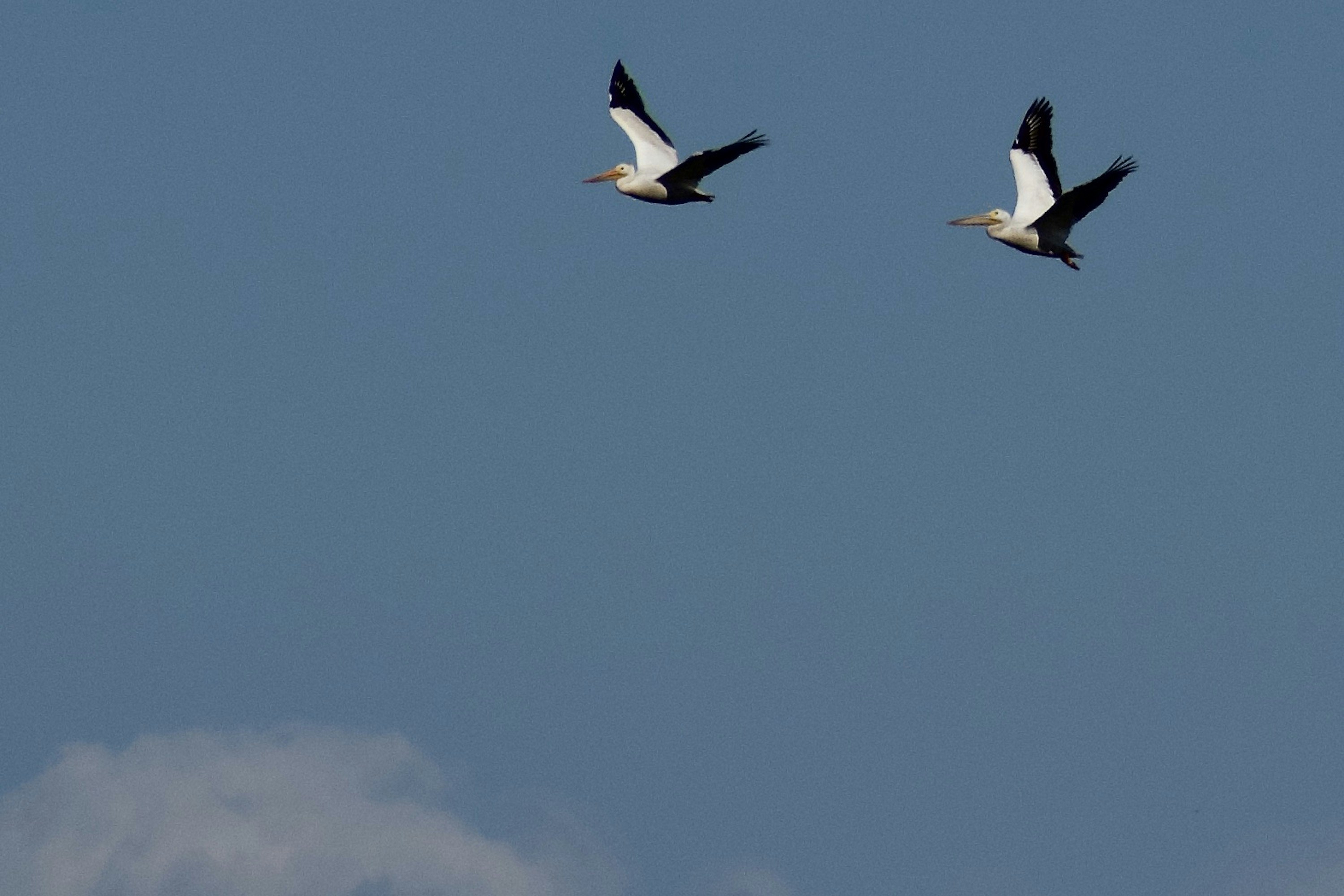 Photo by elisastonephotography