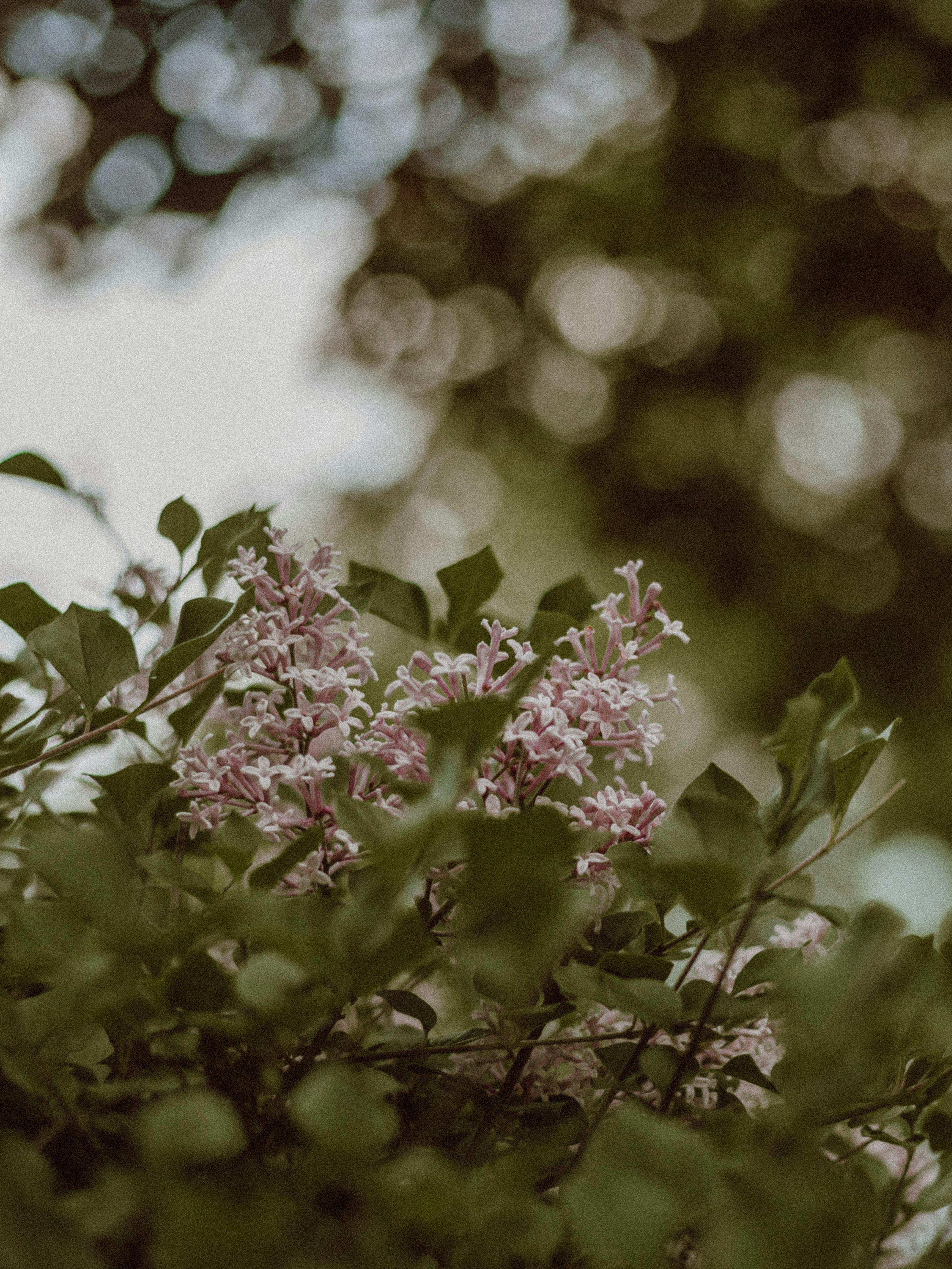 The Neuroscience of Rumination: Breaking the Loop