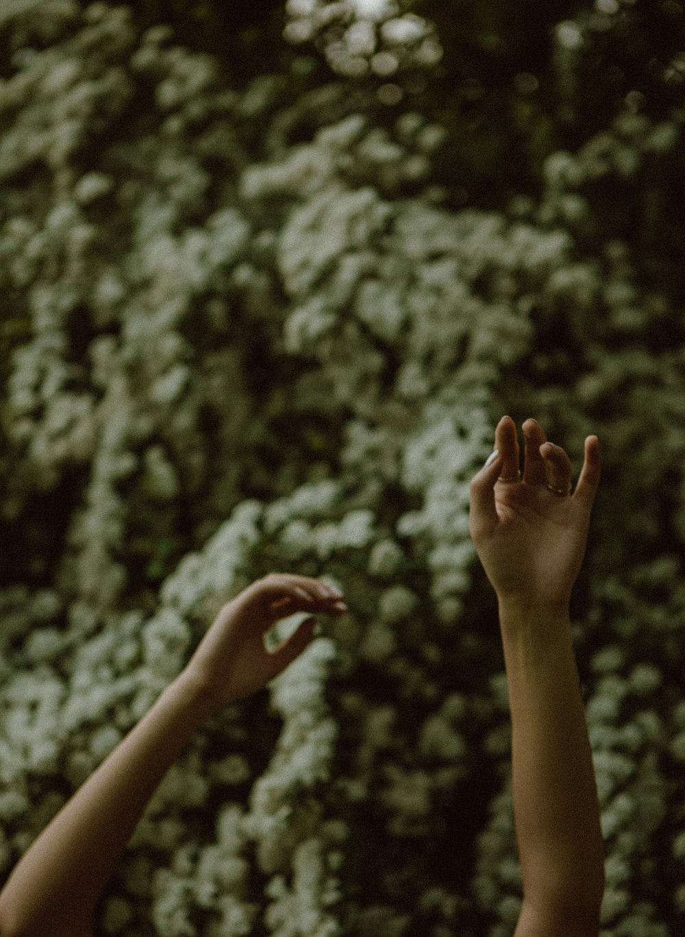 persons hand with red manicure