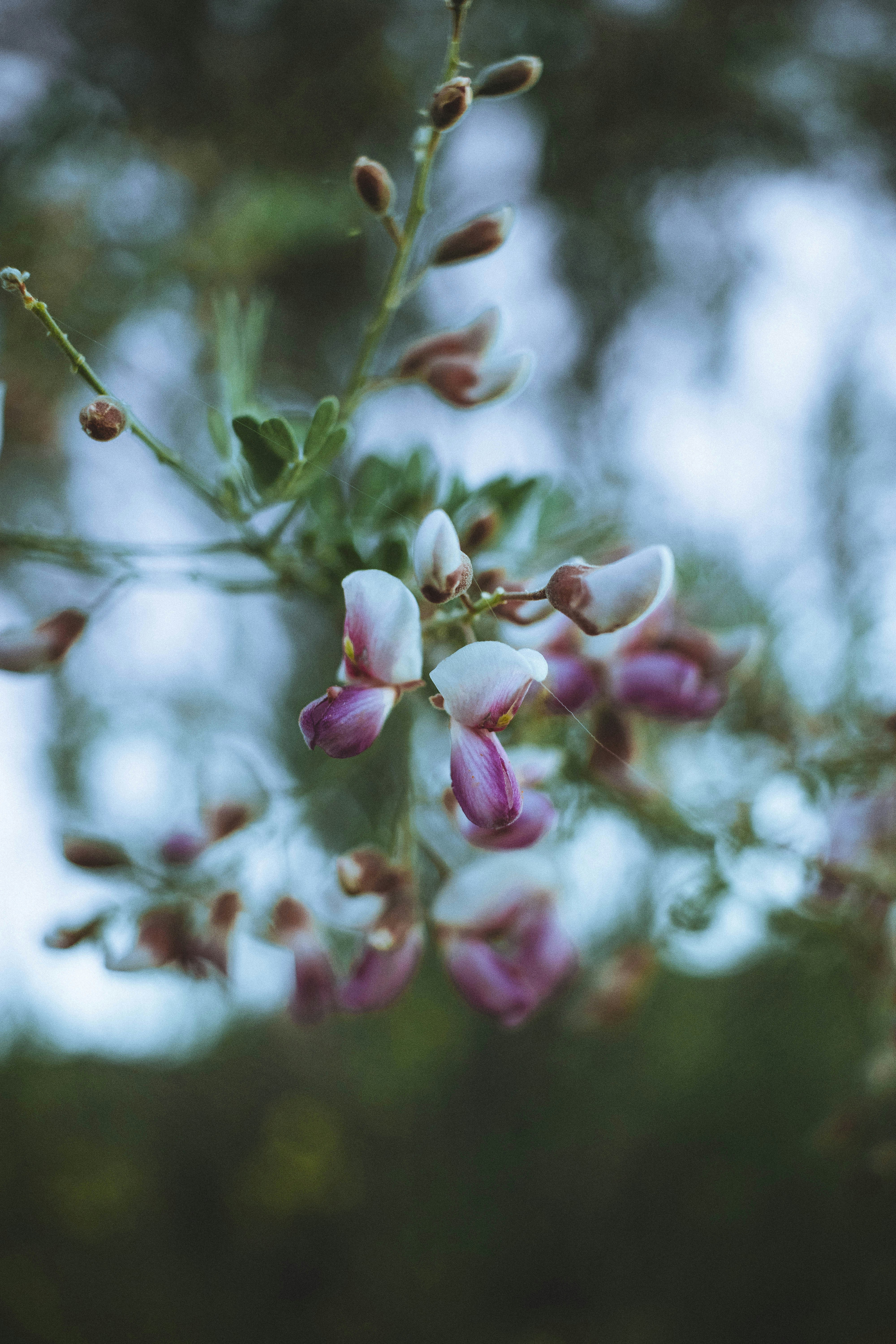 Photo by harrisonhargrave