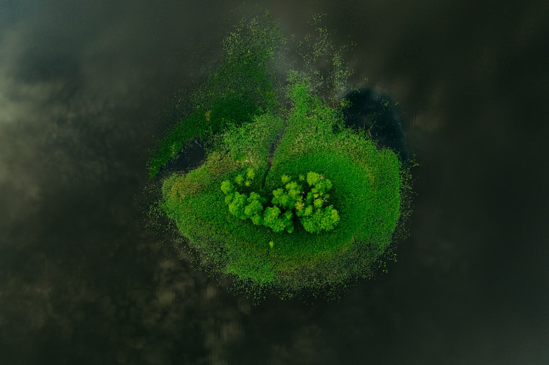 green moss on black background