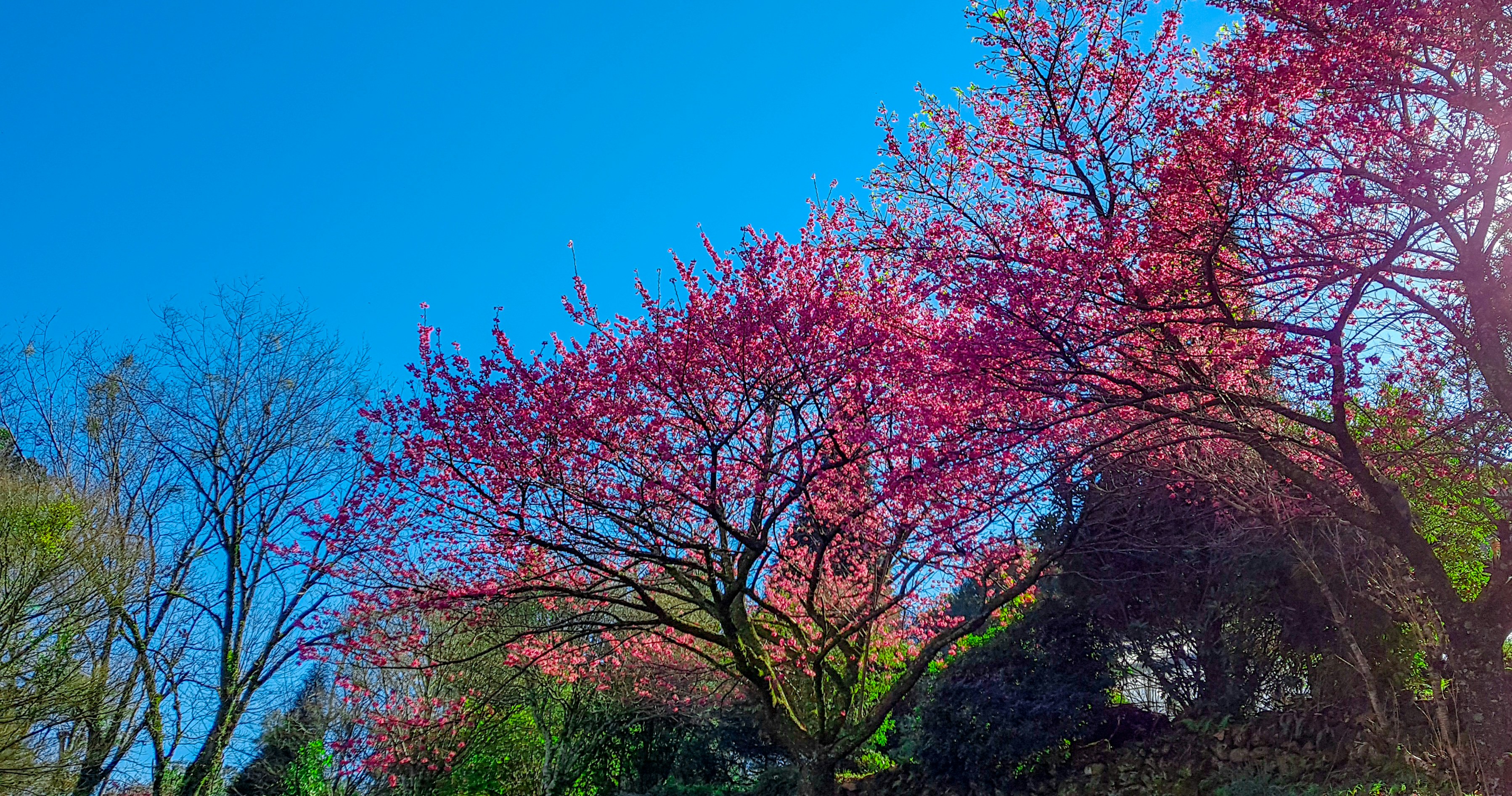 Photo by brunosalvini