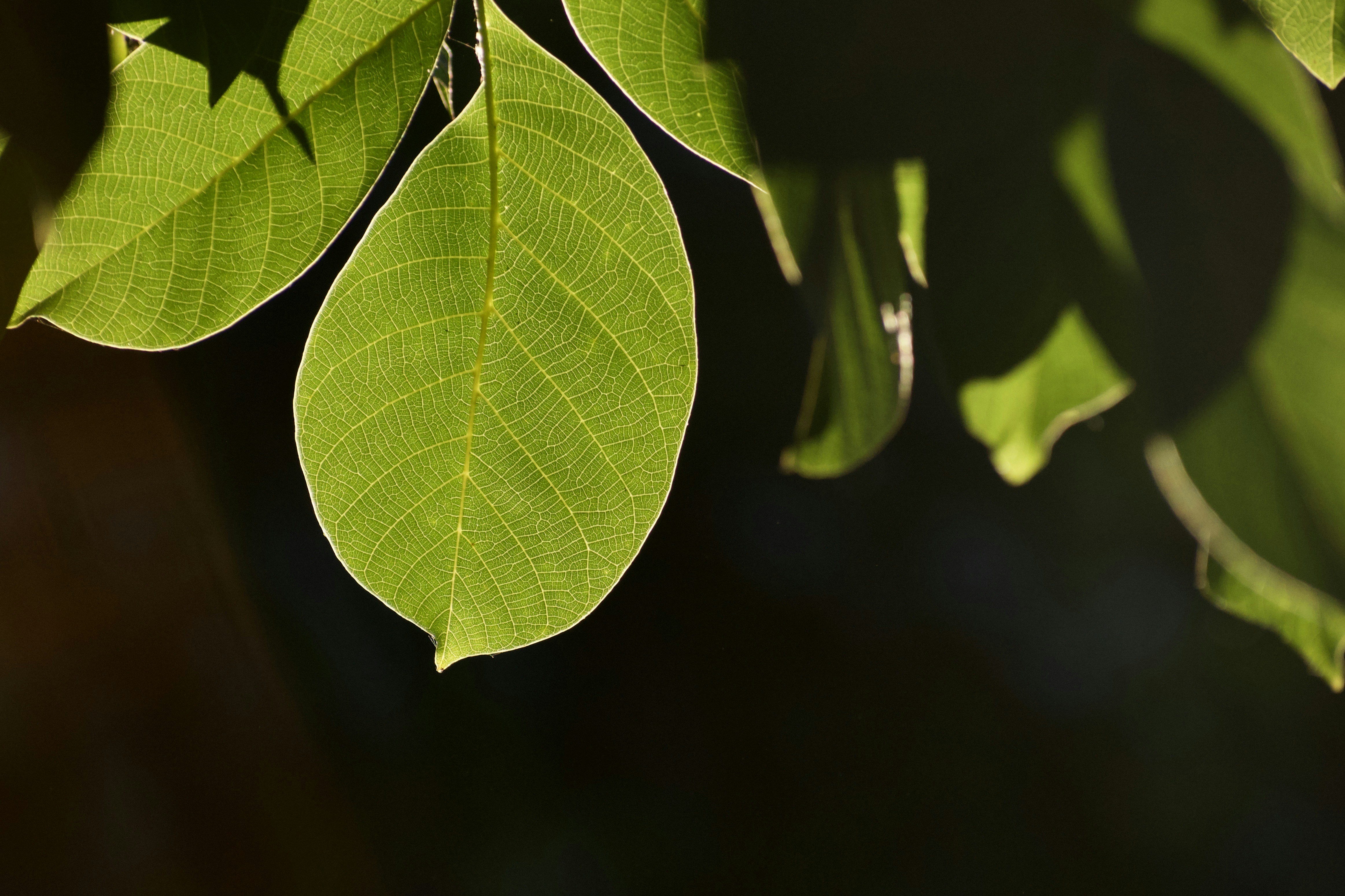 Photo by elisastonephotography