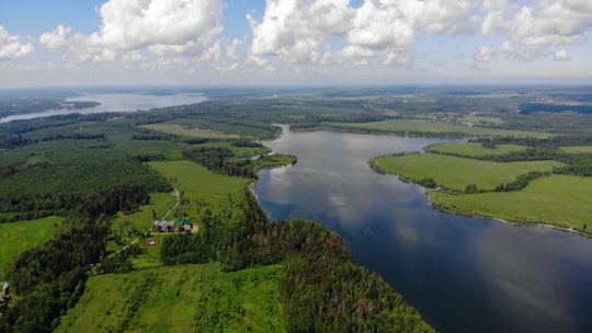 green trees near body of water under blue sky during daytime in Ruza Russia