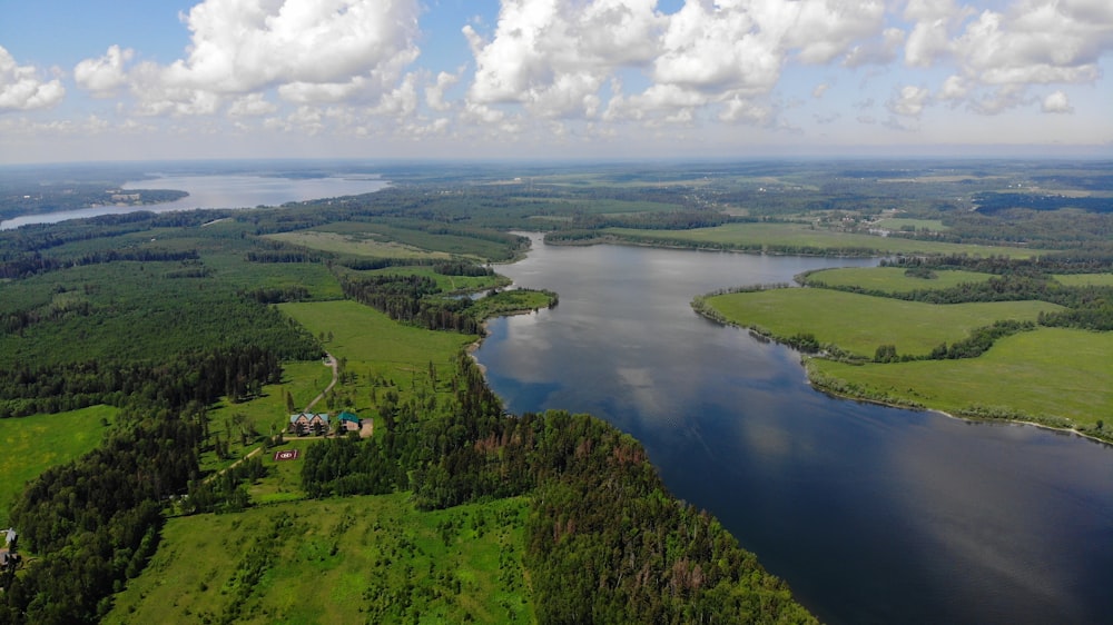 green trees near body of water under blue sky during daytime