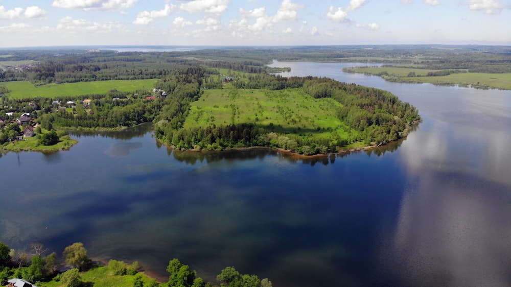 green trees and lake under blue sky during daytime