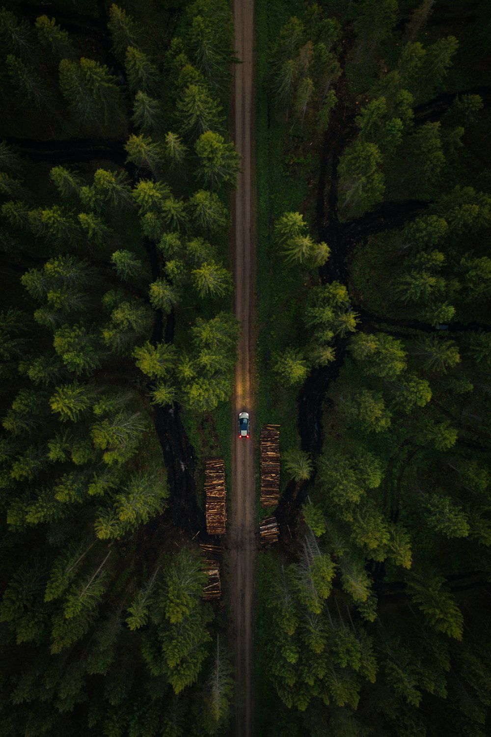 brown wooden bridge in the middle of green trees