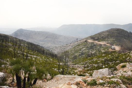 A hilly landscape with green vegetation scattered across the rugged terrain. A winding dirt path leads to a distant water tanker, which is the only visible man-made object. The sky is overcast with a muted color palette, and there are signs of regrowth in the previously burned area as evidenced by the charred trees alongside the fresh greenery.