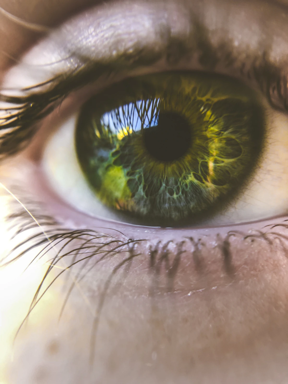 Can a Vitamin Deficiency Blur Your Vision? What Your Eyes Are Trying to Tell You