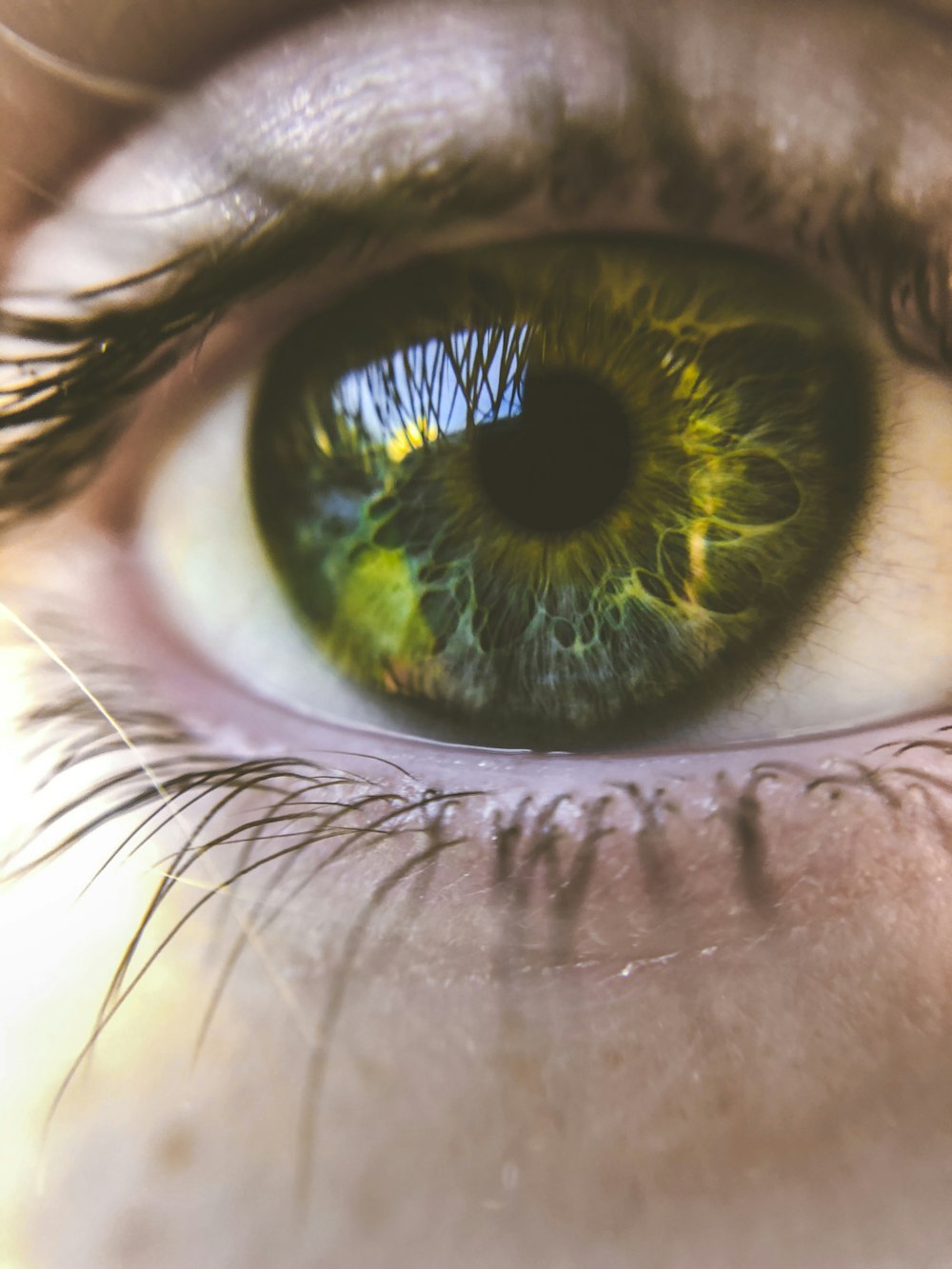 a close up of a person's green eye