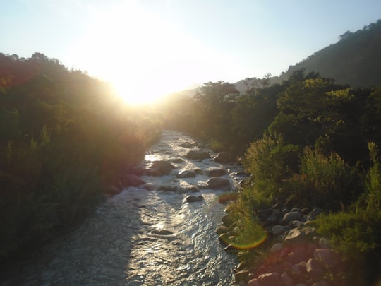 river in between green trees during daytime in San José El Rodeo Guatemala