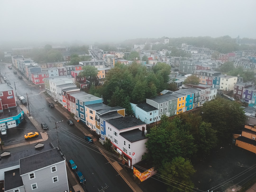 cars on road near buildings during daytime