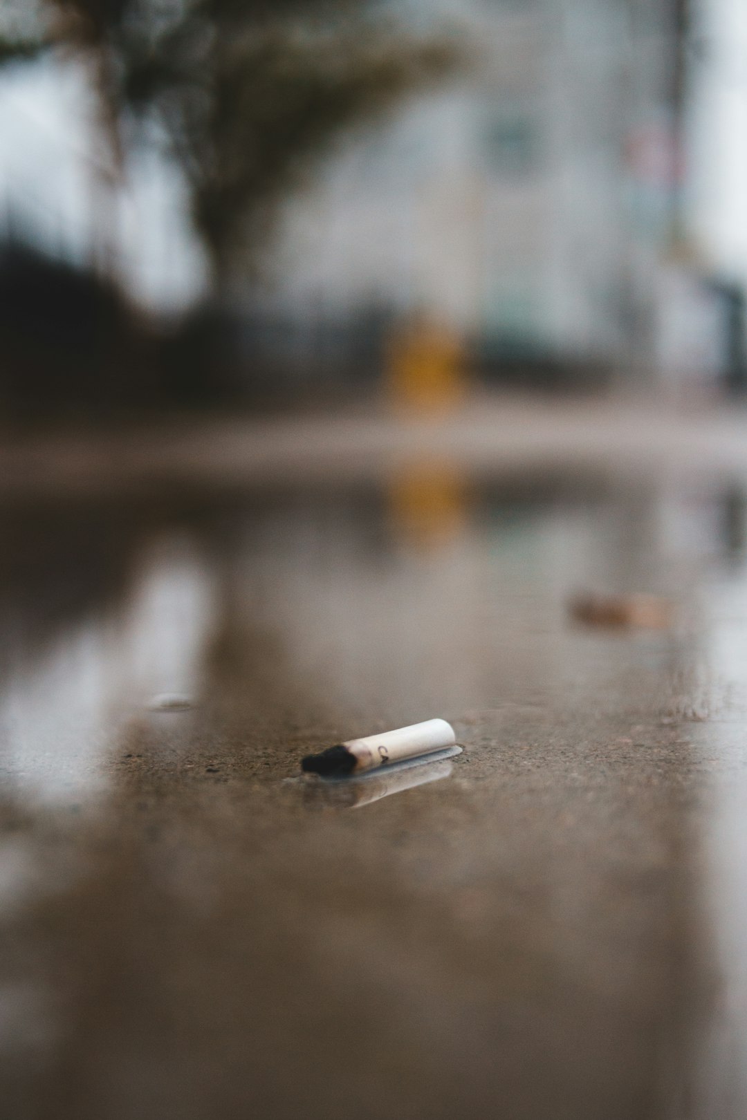 white cigarette stick on wet ground