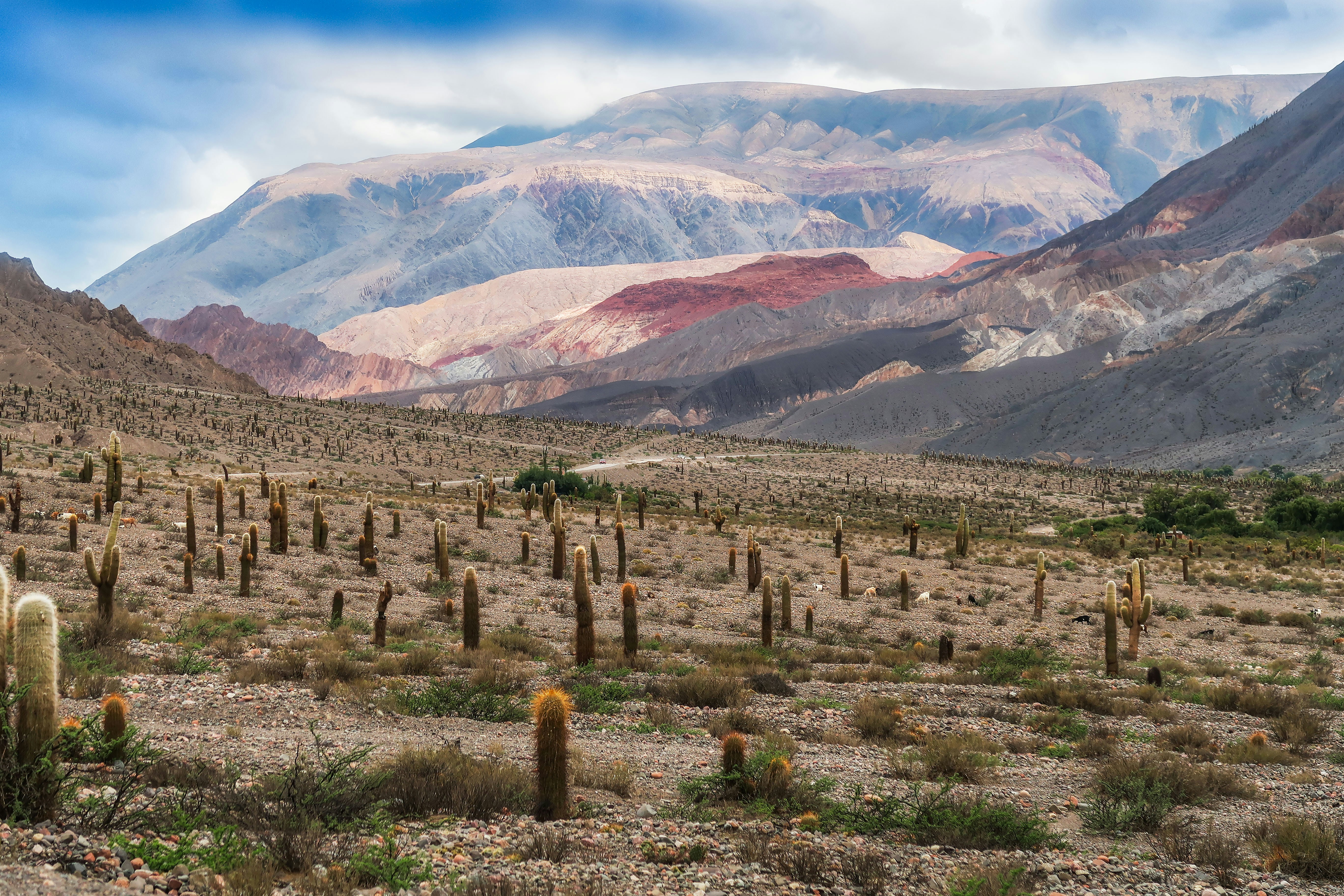 Photo by argentinanatural