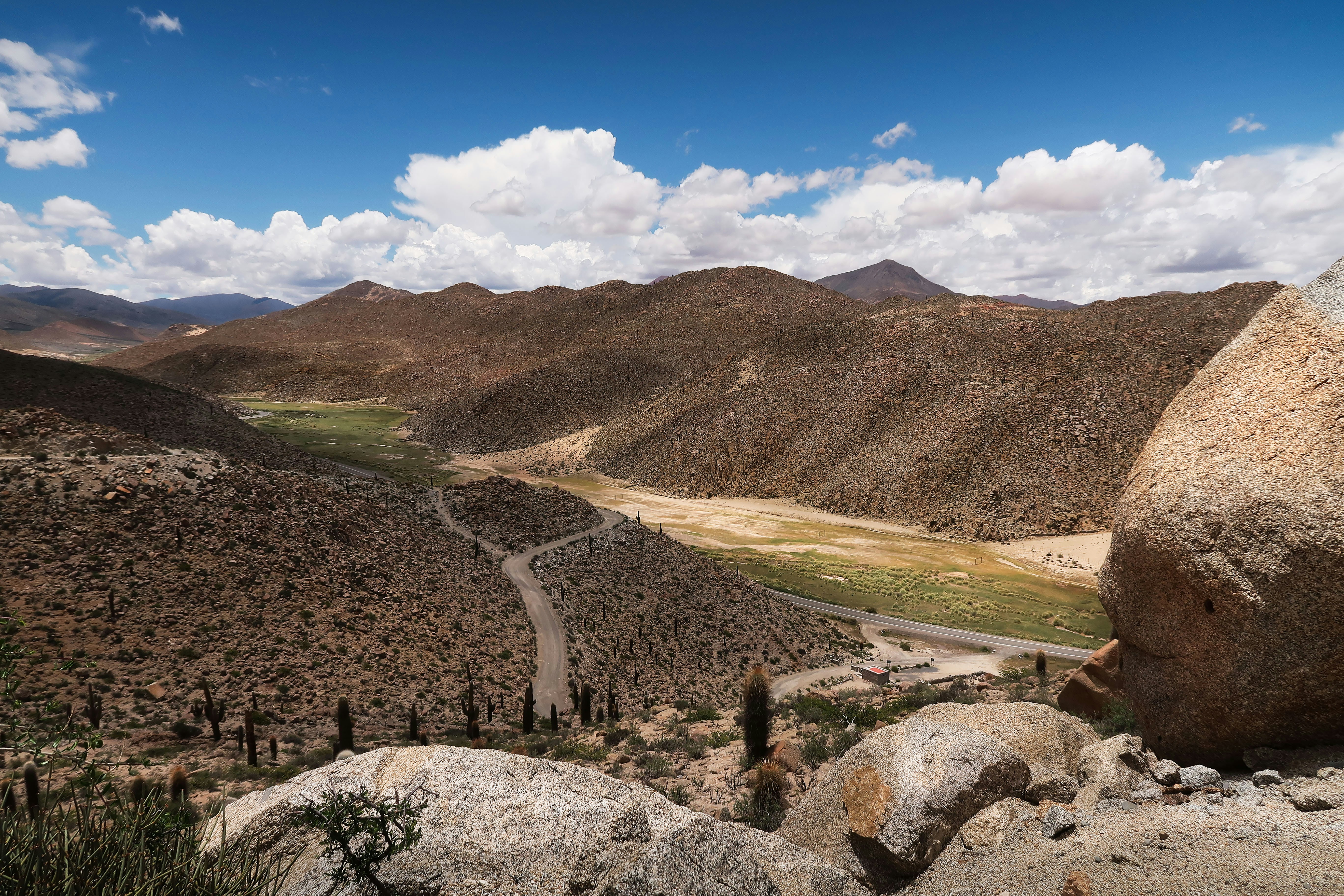 Photo by argentinanatural