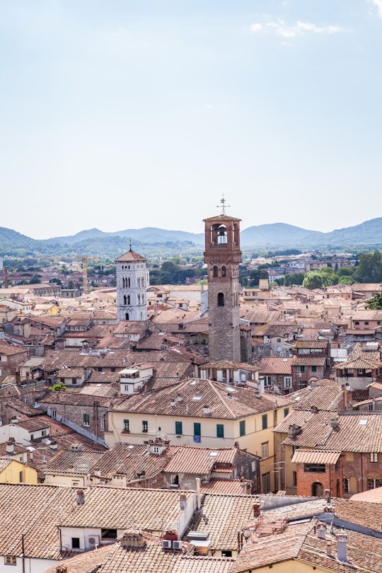 brown concrete building during daytime in Guinigi torony Italy