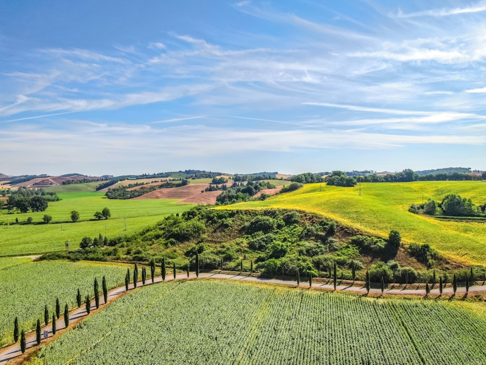 Grünes Grasfeld unter blauem Himmel tagsüber