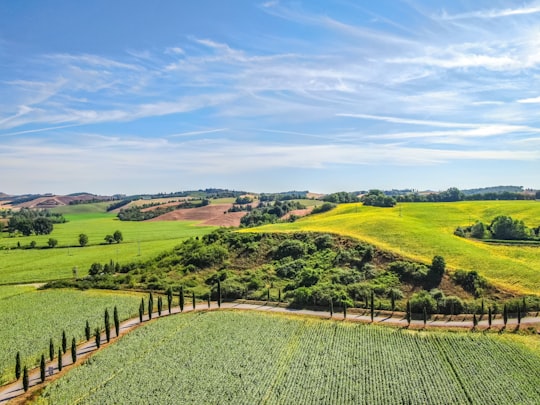 green grass field under blue sky during daytime in Tuscany Italy