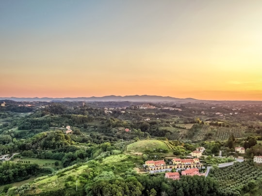 aerial view of green trees and houses during daytime in Tuscany Italy