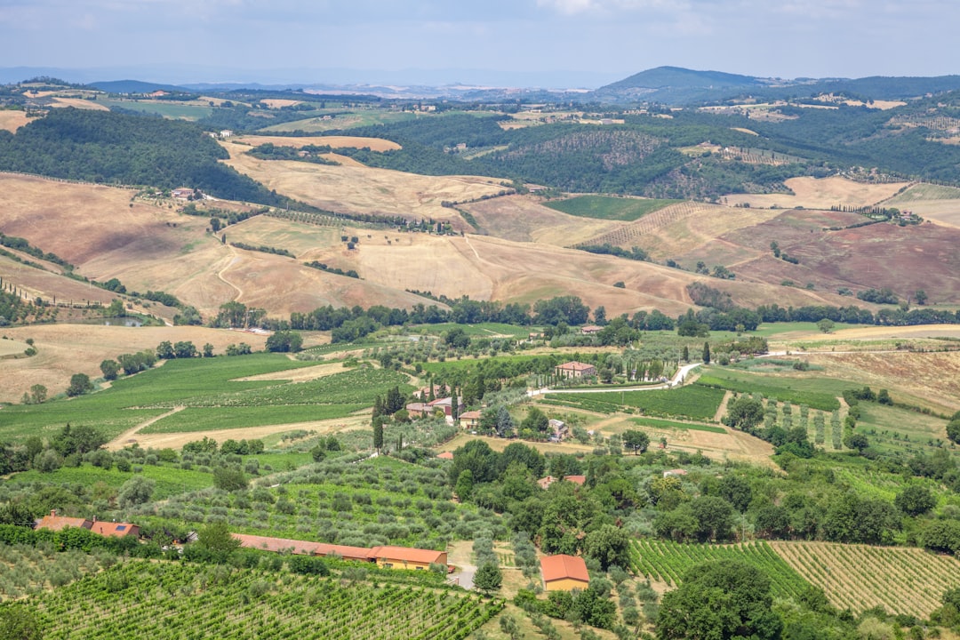 aerial view of green and brown mountains during daytime