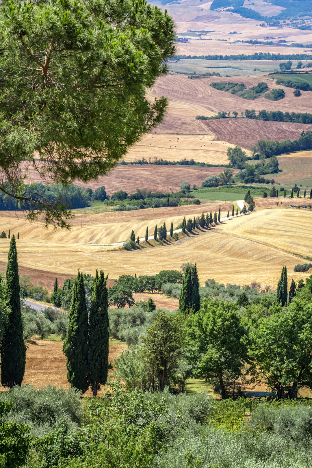 Hill photo spot Tuscany San Quirico d'Orcia