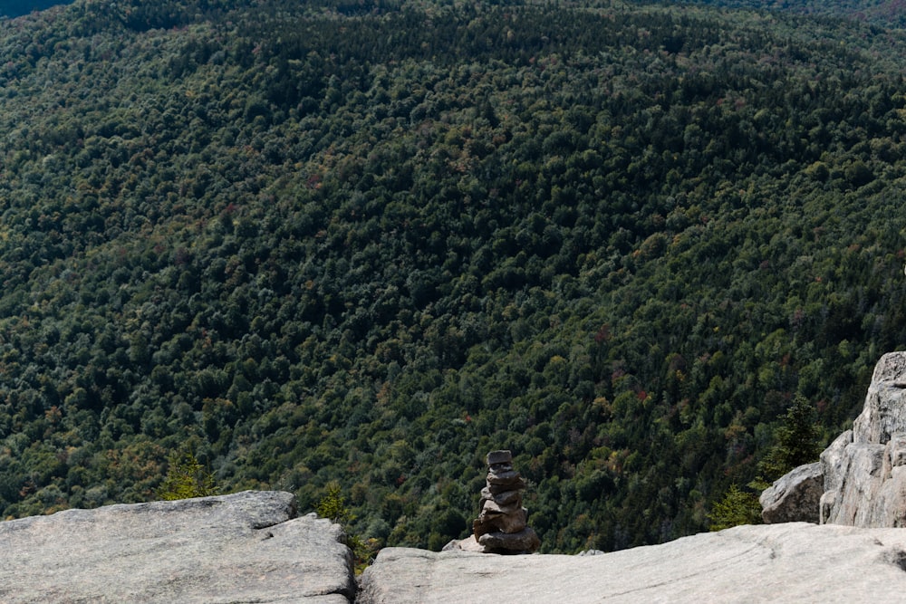 person sitting on rock near green trees during daytime