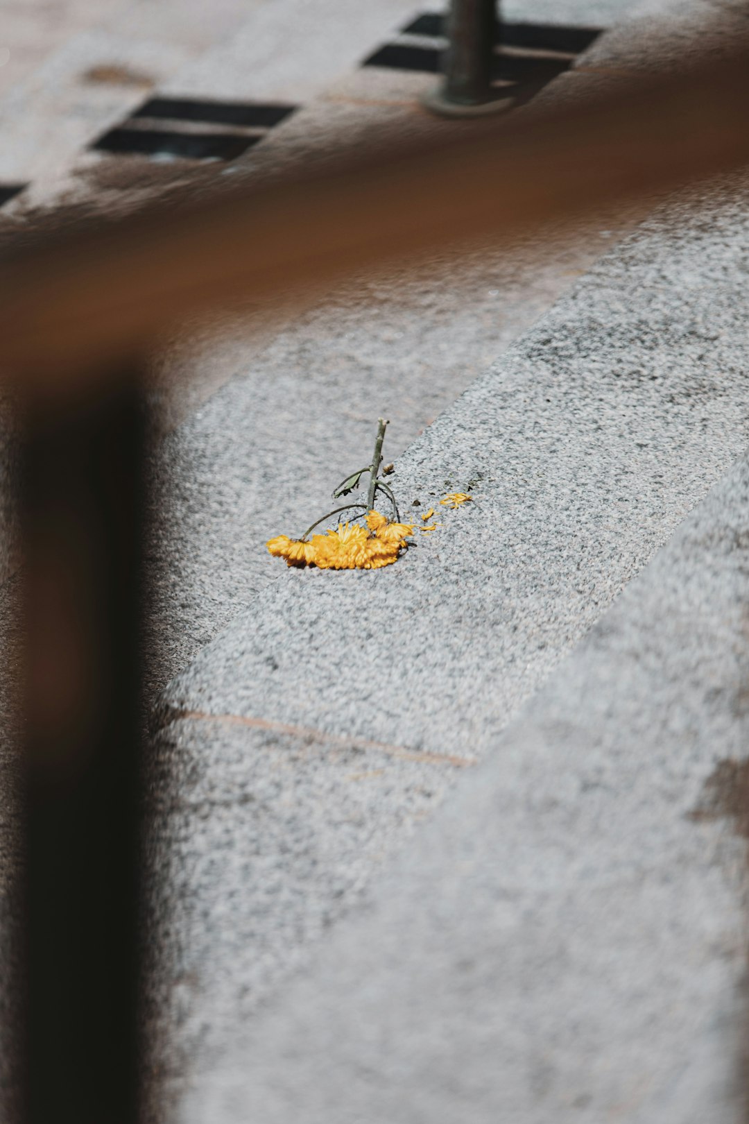 yellow leaf on gray concrete floor