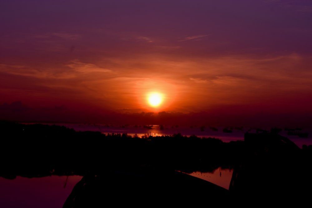 silhouette of trees during sunset