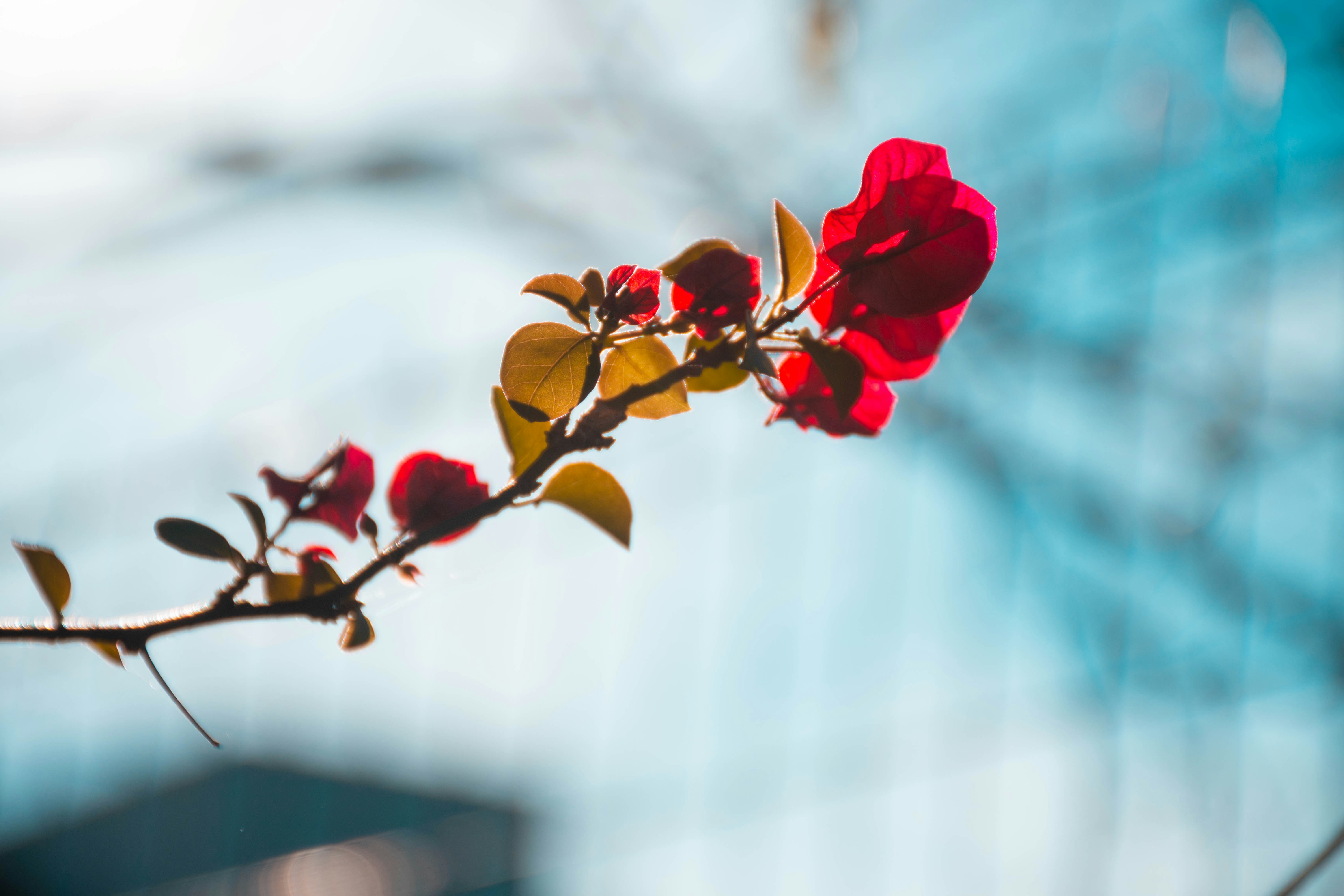 Photo by lucasgwendt